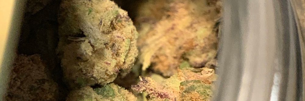 bassjoker420 OnlyFans United States