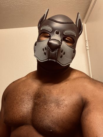 cyrustheebear OnlyFans daddy