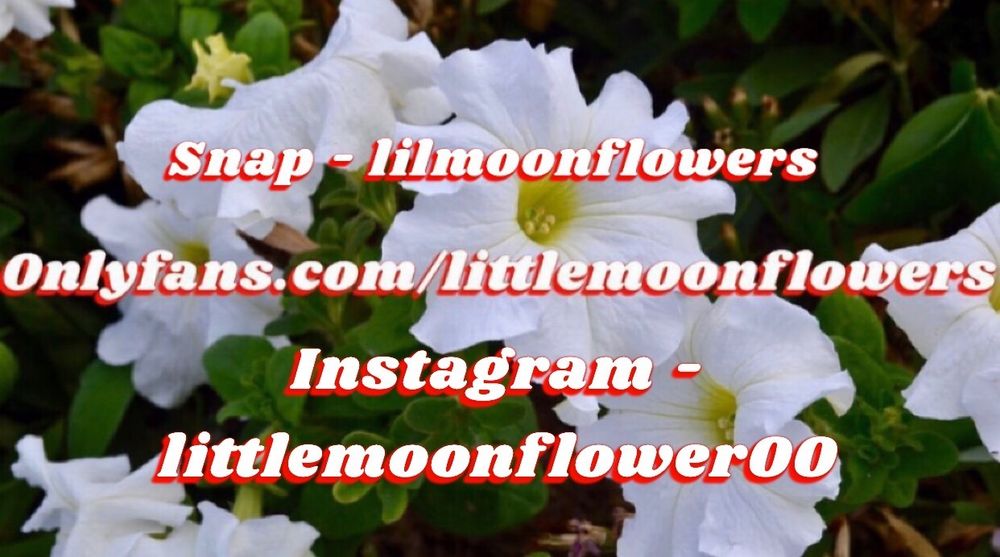 littlemoonflowers OnlyFans leaking united kingdom