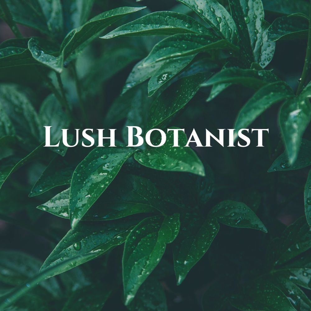 mslushbotanist OnlyFans recording anal