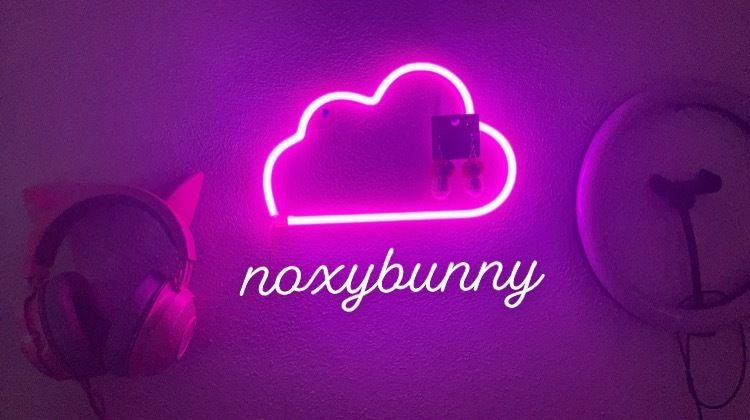 noxybunny OnlyFans recording united states