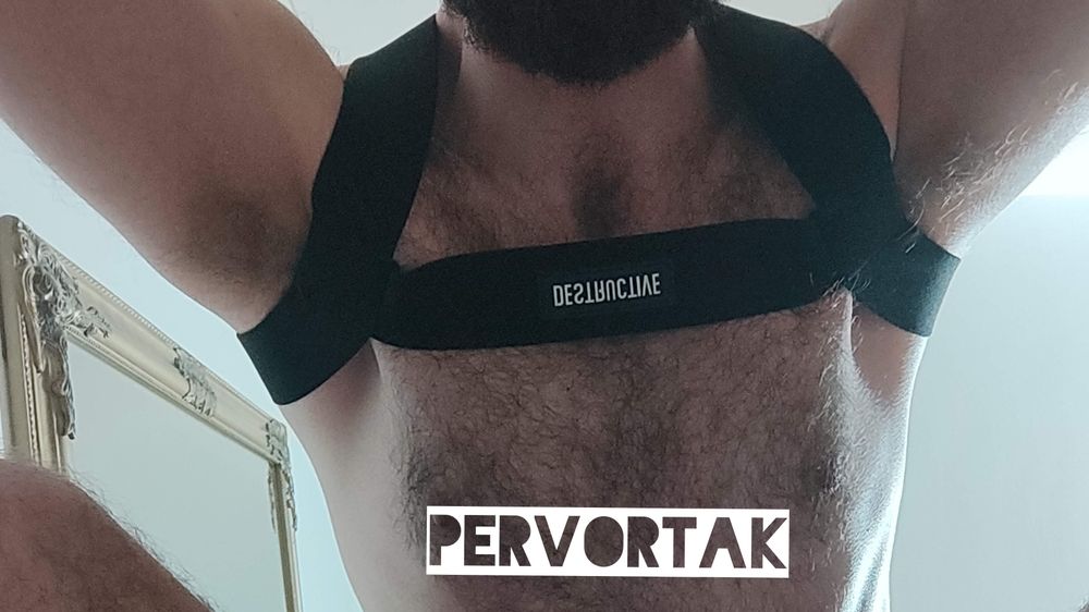 pervortak OnlyFans masturbation