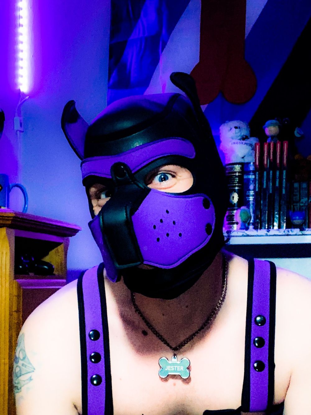 pup-jester OnlyFans United States